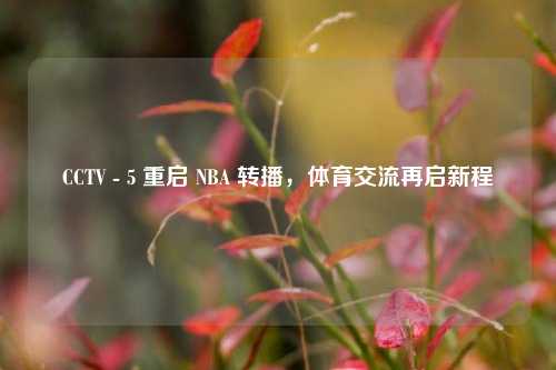CCTV - 5 重启 NBA 转播，体育交流再启新程