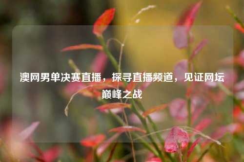 澳网男单决赛直播，探寻直播频道，见证网坛巅峰之战