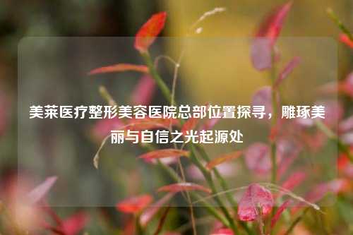 美莱医疗整形美容医院总部位置探寻，雕琢美丽与自信之光起源处