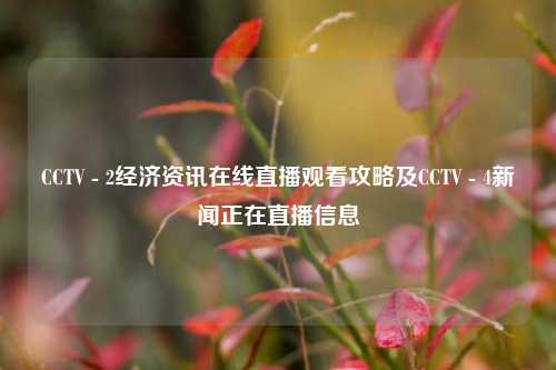 CCTV - 2经济资讯在线直播观看攻略及CCTV - 4新闻正在直播信息