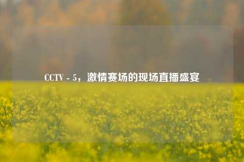 CCTV - 5，激情赛场的现场直播盛宴