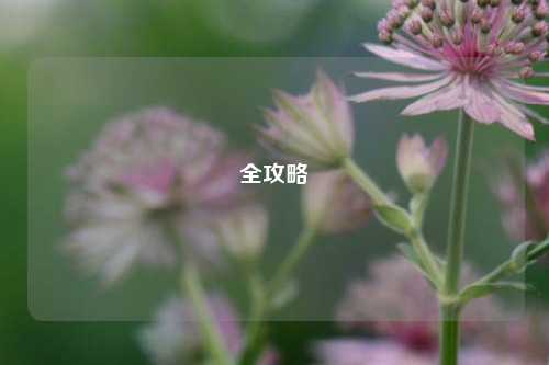 全攻略