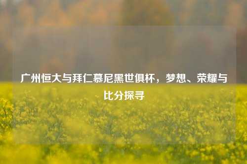 广州恒大与拜仁慕尼黑世俱杯，梦想、荣耀与比分探寻