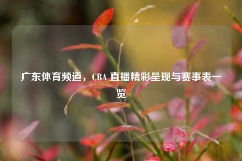 广东体育频道，CBA 直播精彩呈现与赛事表一览