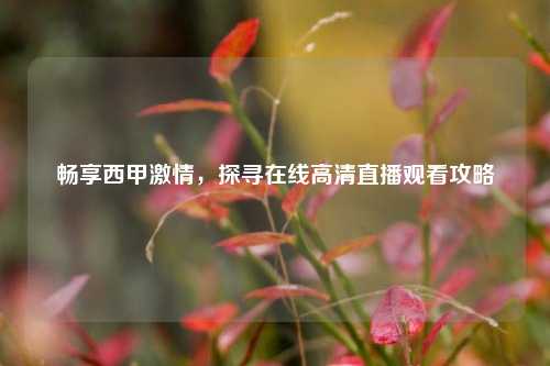 畅享西甲激情，探寻在线高清直播观看攻略