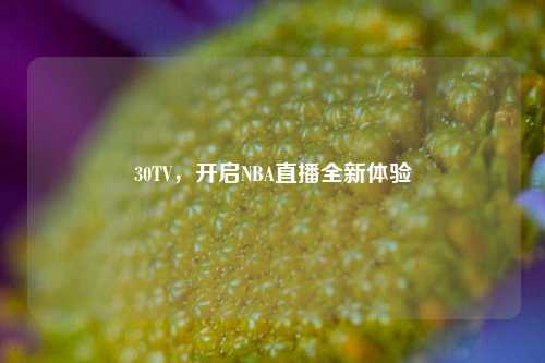 30TV，开启NBA直播全新体验