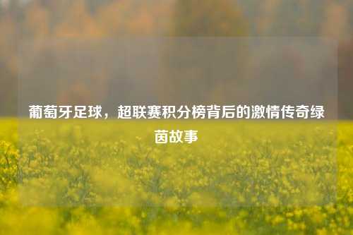 葡萄牙足球，超联赛积分榜背后的激情传奇绿茵故事