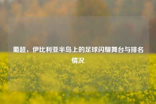 葡超，伊比利亚半岛上的足球闪耀舞台与排名情况