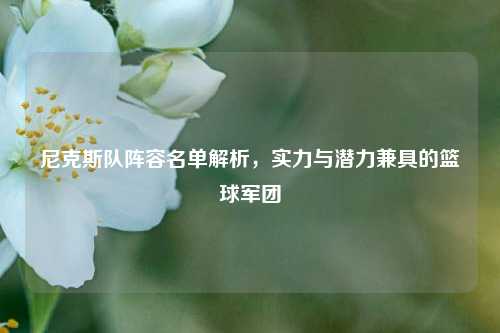 尼克斯队阵容名单解析，实力与潜力兼具的篮球军团