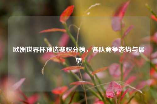 欧洲世界杯预选赛积分榜，各队竞争态势与展望