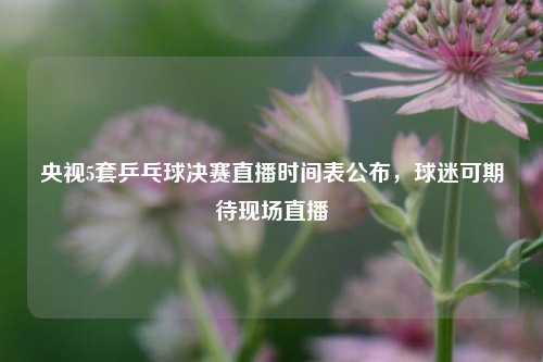 央视5套乒乓球决赛直播时间表公布，球迷可期待现场直播
