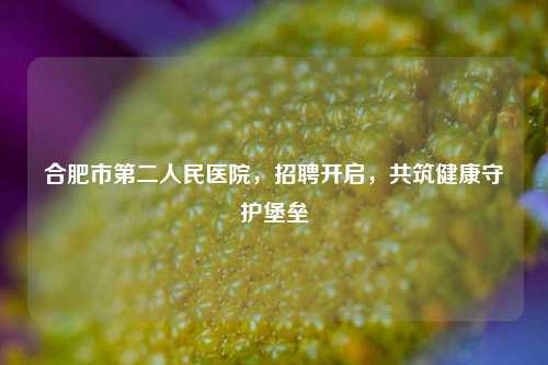 合肥市第二人民医院，招聘开启，共筑健康守护堡垒