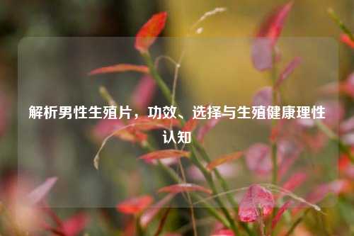 解析男性生殖片，功效、选择与生殖健康理性认知