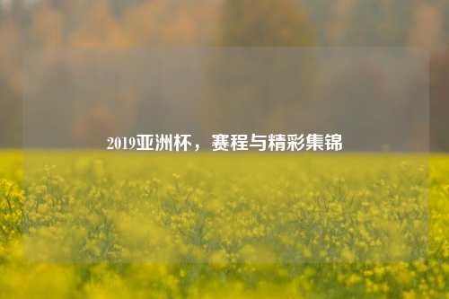 2019亚洲杯，赛程与精彩集锦