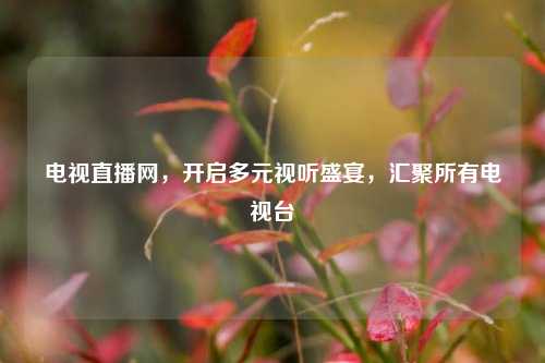 电视直播网，开启多元视听盛宴，汇聚所有电视台