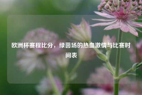 欧洲杯赛程比分，绿茵场的热血激情与比赛时间表