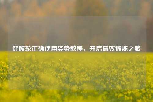健腹轮正确使用姿势教程，开启高效锻炼之旅