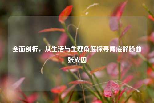全面剖析，从生活与生理角度探寻胃底静脉曲张成因