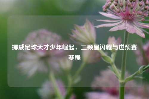 挪威足球天才少年崛起，三颗星闪耀与世预赛赛程