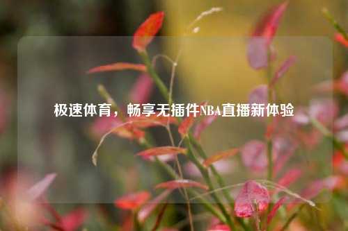极速体育，畅享无插件NBA直播新体验