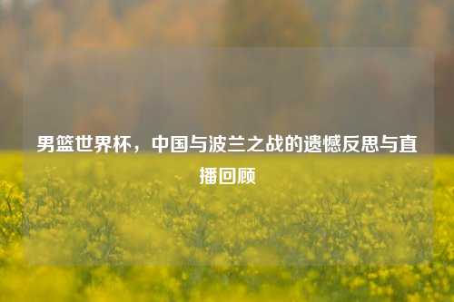 男篮世界杯，中国与波兰之战的遗憾反思与直播回顾