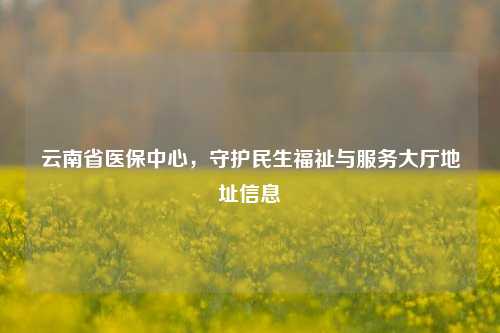 云南省医保中心，守护民生福祉与服务大厅地址信息