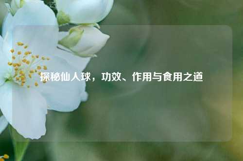探秘仙人球，功效、作用与食用之道