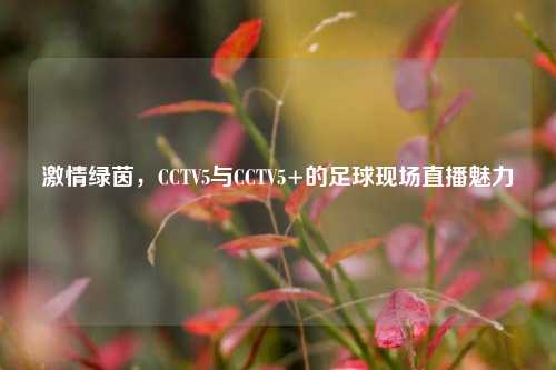 激情绿茵，CCTV5与CCTV5+的足球现场直播魅力