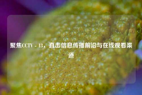 聚焦CCTV - 13，直击信息传播前沿与在线观看渠道
