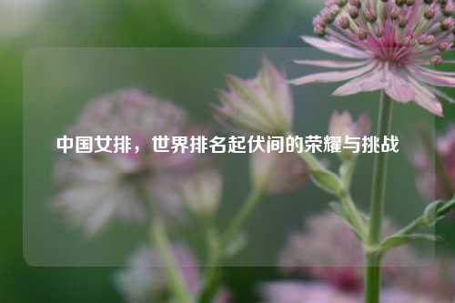 中国女排，世界排名起伏间的荣耀与挑战