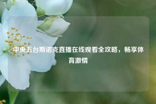 中央五台斯诺克直播在线观看全攻略，畅享体育激情