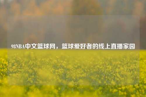 98NBA中文篮球网，篮球爱好者的线上直播家园