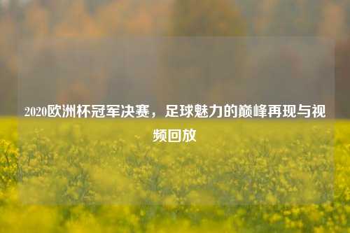 2020欧洲杯冠军决赛，足球魅力的巅峰再现与视频回放