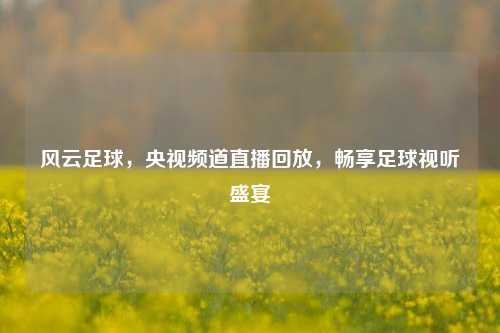 风云足球，央视频道直播回放，畅享足球视听盛宴