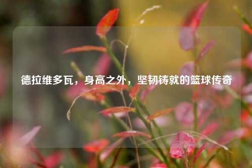 德拉维多瓦，身高之外，坚韧铸就的篮球传奇