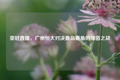 亚冠直播，广州恒大对决鹿岛鹿角的绿茵之战