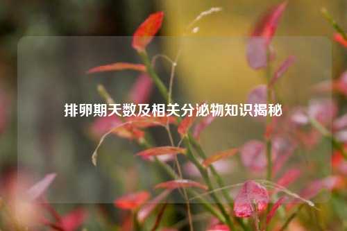 排卵期天数及相关分泌物知识揭秘