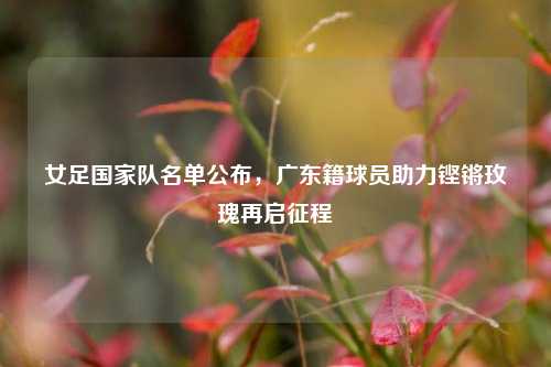 女足国家队名单公布，广东籍球员助力铿锵玫瑰再启征程