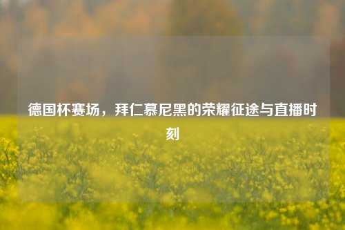德国杯赛场，拜仁慕尼黑的荣耀征途与直播时刻
