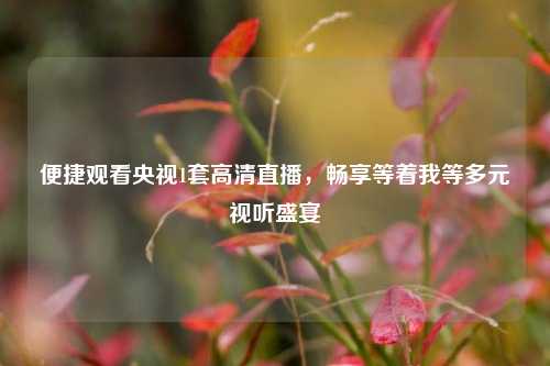 便捷观看央视1套高清直播，畅享等着我等多元视听盛宴