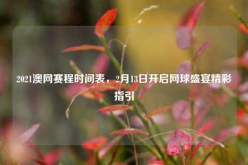 2021澳网赛程时间表，2月13日开启网球盛宴精彩指引