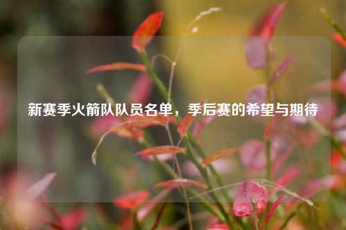 新赛季火箭队队员名单，季后赛的希望与期待