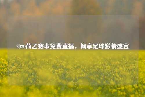 2020荷乙赛事免费直播，畅享足球激情盛宴