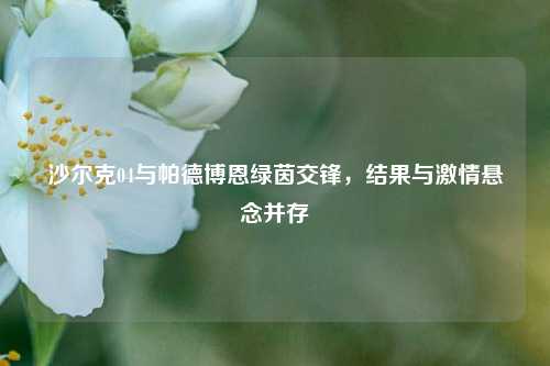 沙尔克04与帕德博恩绿茵交锋，结果与激情悬念并存