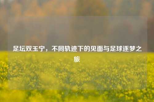 足坛双玉宁，不同轨迹下的见面与足球逐梦之旅