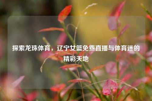 探索龙珠体育，辽宁女篮免费直播与体育迷的精彩天地