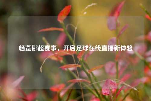 畅览挪超赛事，开启足球在线直播新体验