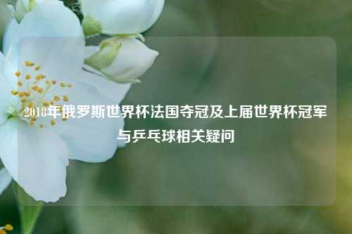2018年俄罗斯世界杯法国夺冠及上届世界杯冠军与乒乓球相关疑问