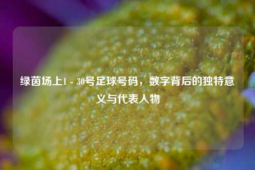 绿茵场上1 - 30号足球号码，数字背后的独特意义与代表人物