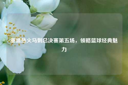 重温热火马刺总决赛第五场，领略篮球经典魅力